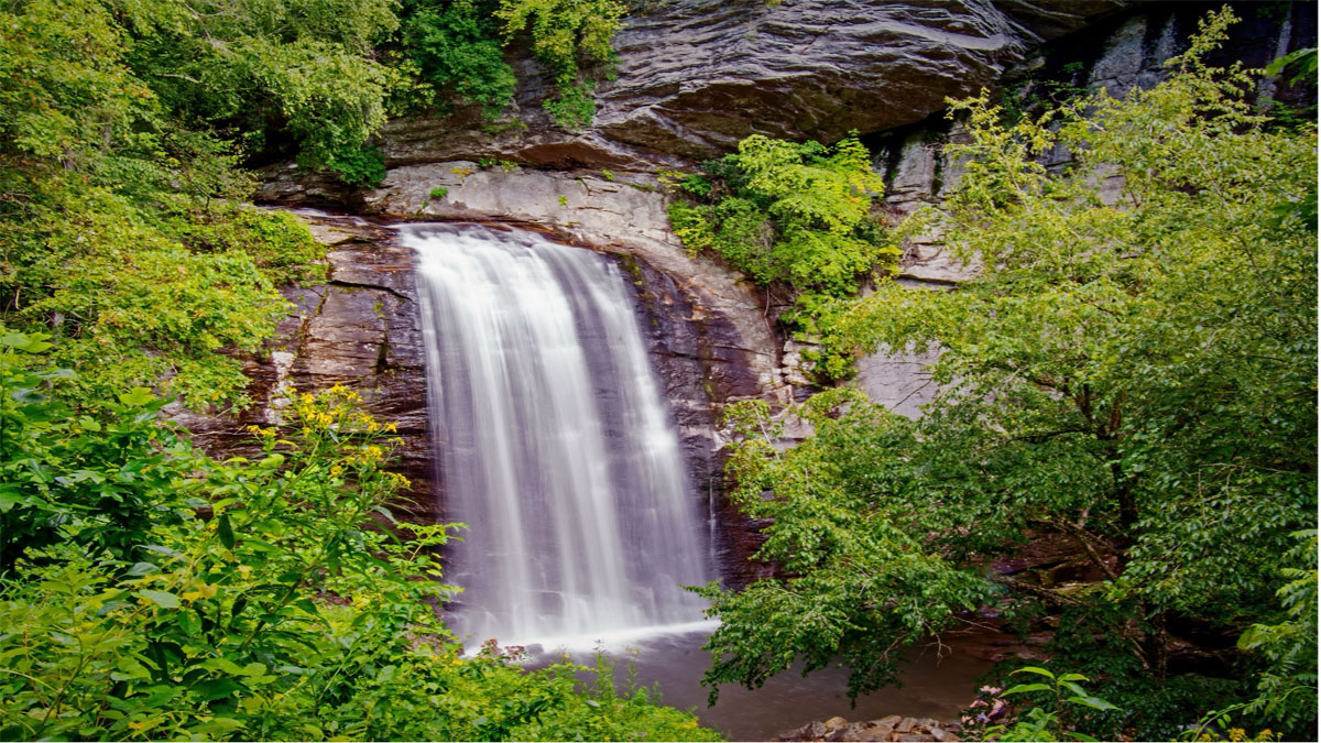 Faith in Focus: Psalm 42